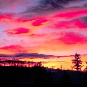 Meet your Posher, Zolton